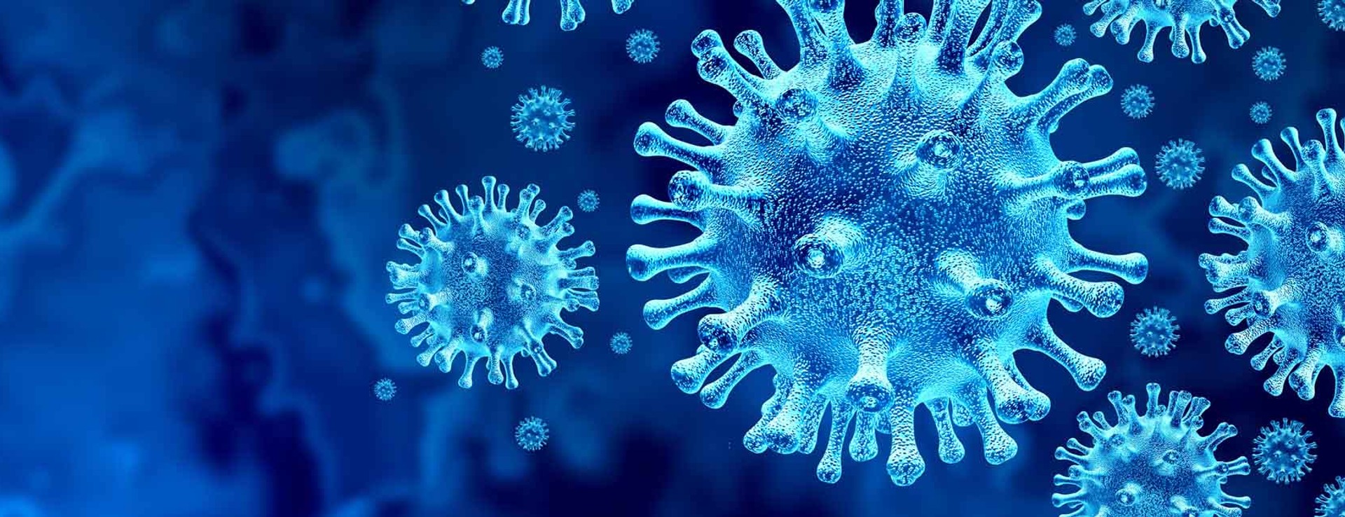 computer image of virus