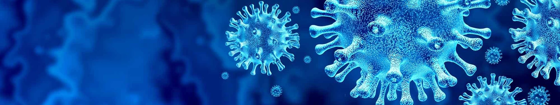 computer image of virus