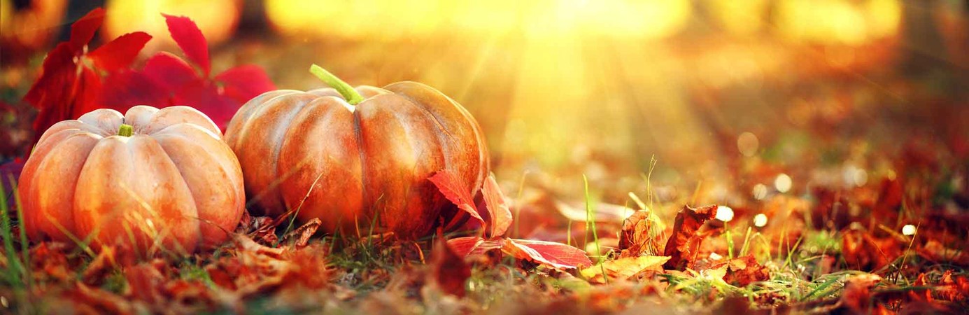 A fall display with pumpkins and red leaves